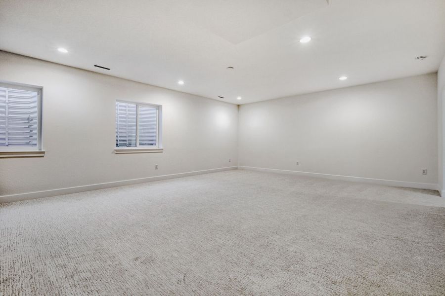 8555 Palo Alto - Basement