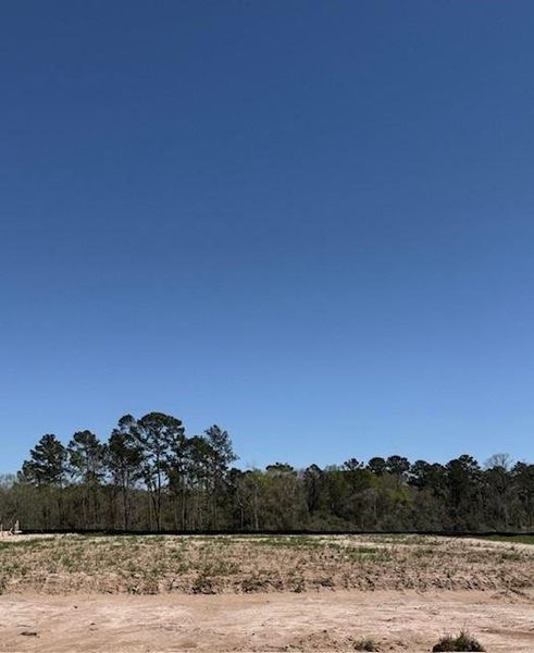 Site preparation for new homesites in The Meadows at Imperial Oaks, Spring (Image 6).