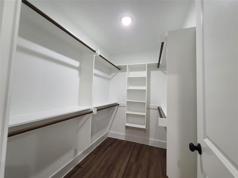 Walk in closet with dark hardwood / wood-style flooring