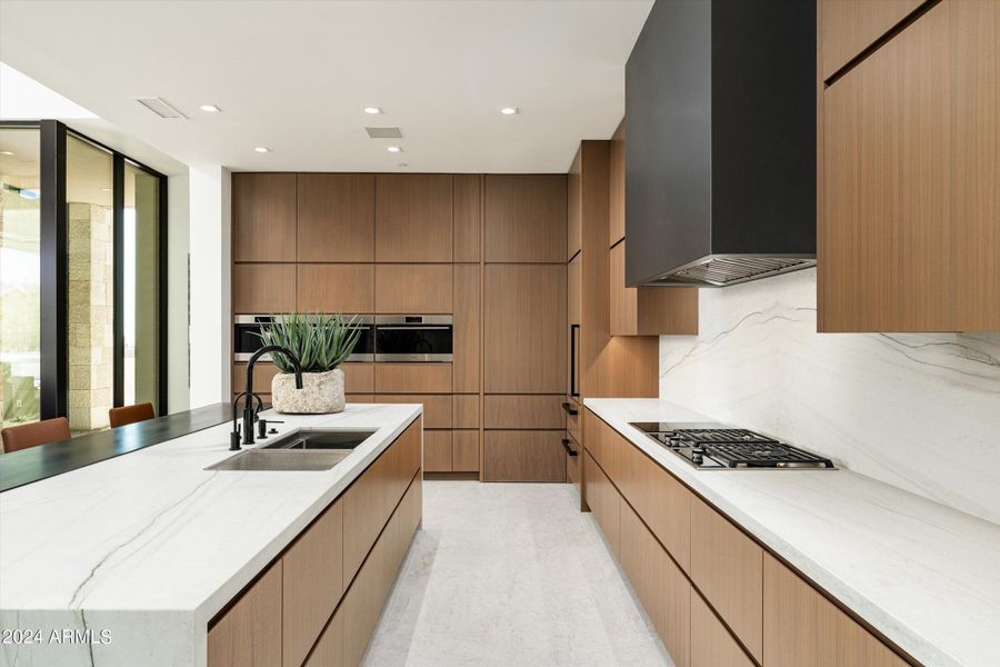 Sleek, Functional Chef's Kitchen