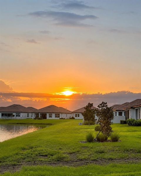 Natural landscape and outdoor views near  in Wimauma (Image 40).