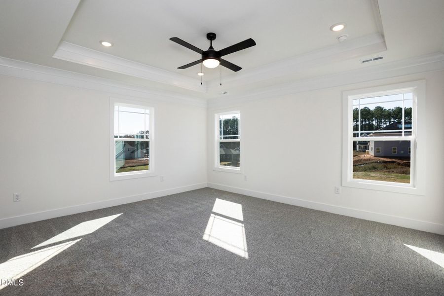 Primary 01 Primary 01