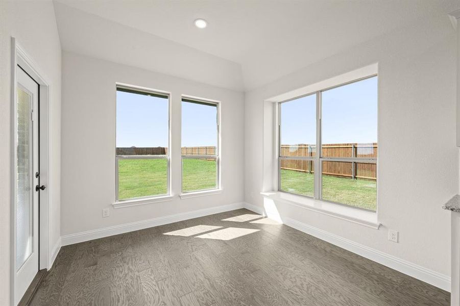 113 Grey wolf- Nook-1 113 Grey wolf- Nook-1