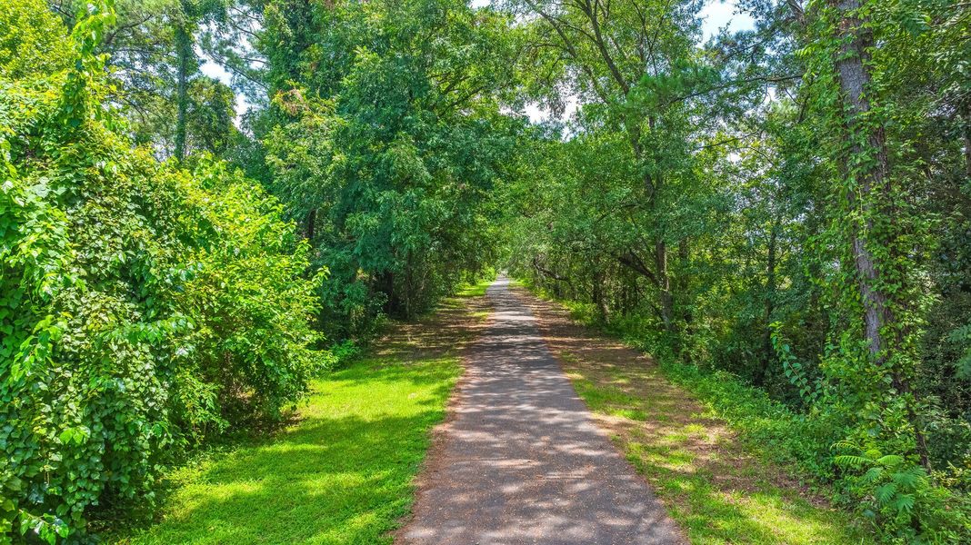 Natural landscape and outdoor views near  in Charleston (Image 39).
