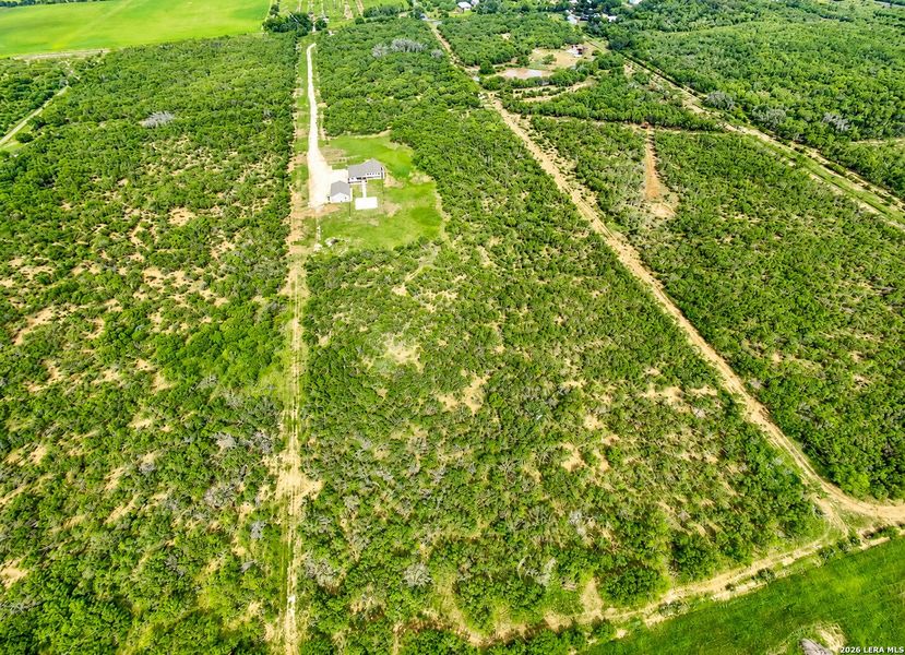 Natural landscape and outdoor views near  in Devine (Image 23).