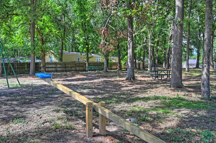 Natural landscape and outdoor views near in Willis (Image 30). Natural landscape and outdoor views near in Willis (Image 30).