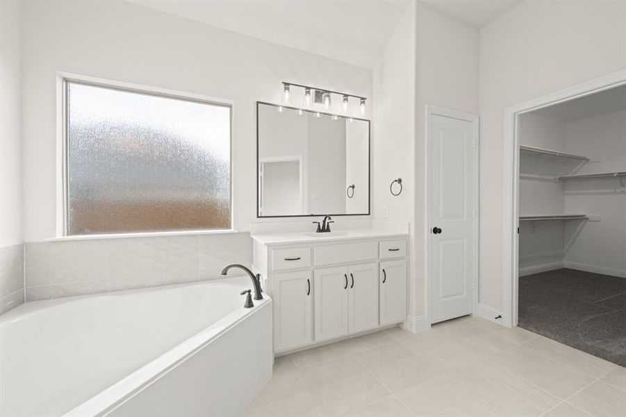 113 Grey wolf- Primary-5 113 Grey wolf- Primary-5