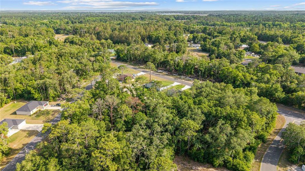 Natural landscape and outdoor views near  in Ocala (Image 34).