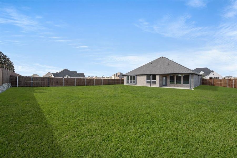 220 Pine Leaf- Back-1 220 Pine Leaf- Back-1