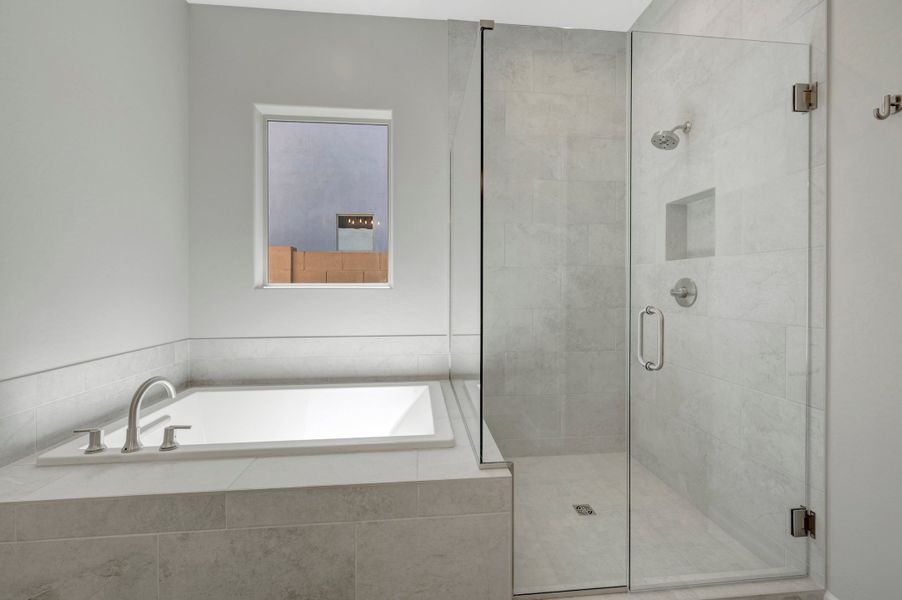 Owner's Bath