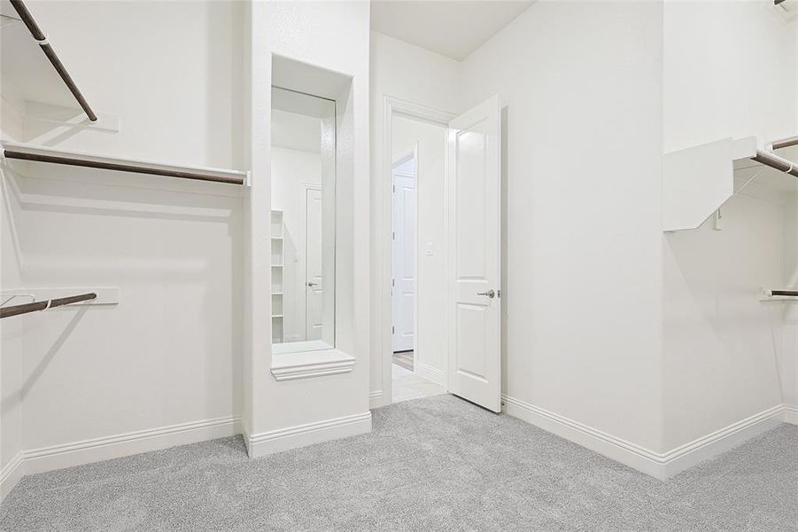 Spacious closet with light carpet