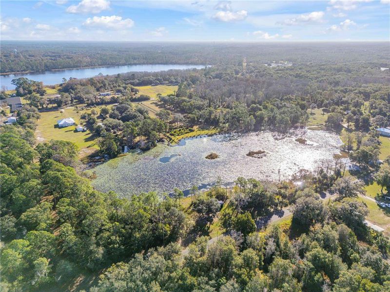 Natural landscape and outdoor views near  in Pierson (Image 9).