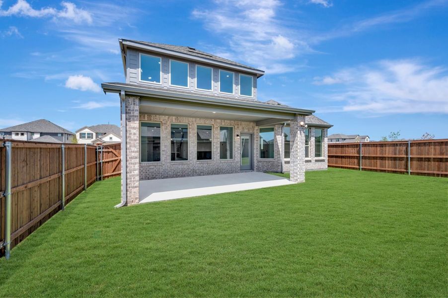 Backyard