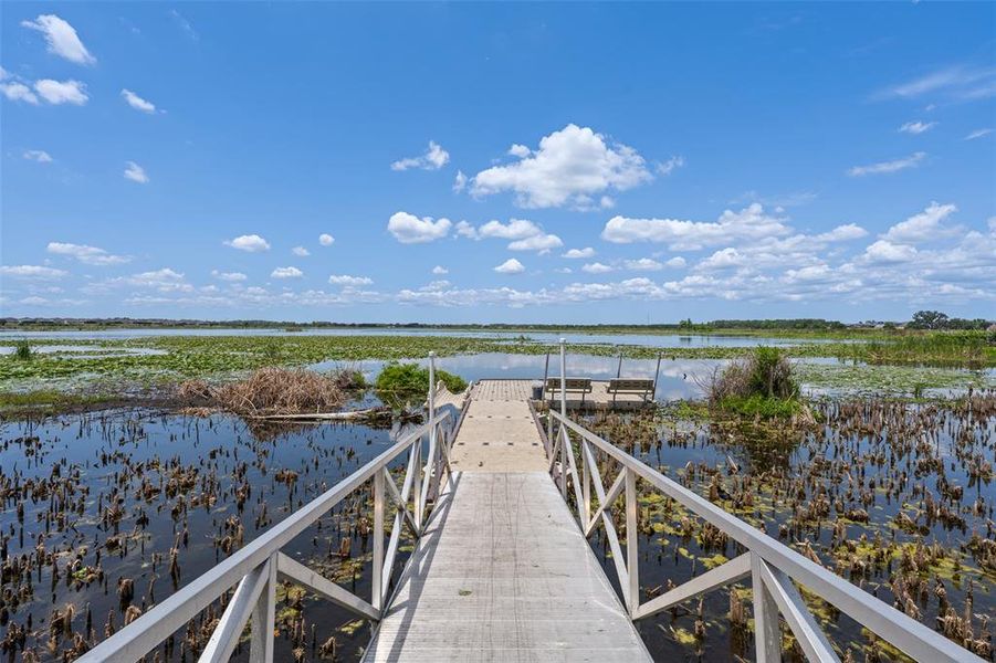 Natural landscape and outdoor views near Epperson in Wesley Chapel (Image 52). Natural landscape and outdoor views near Epperson in Wesley Chapel (Image 52).