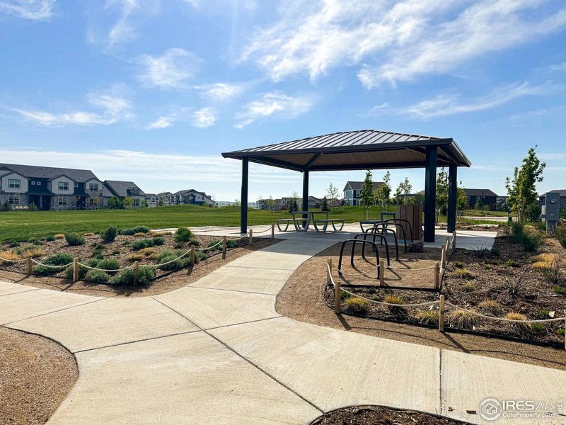 Community amenities in The Lakes at Centerra - Discovery, Loveland (Image 26).