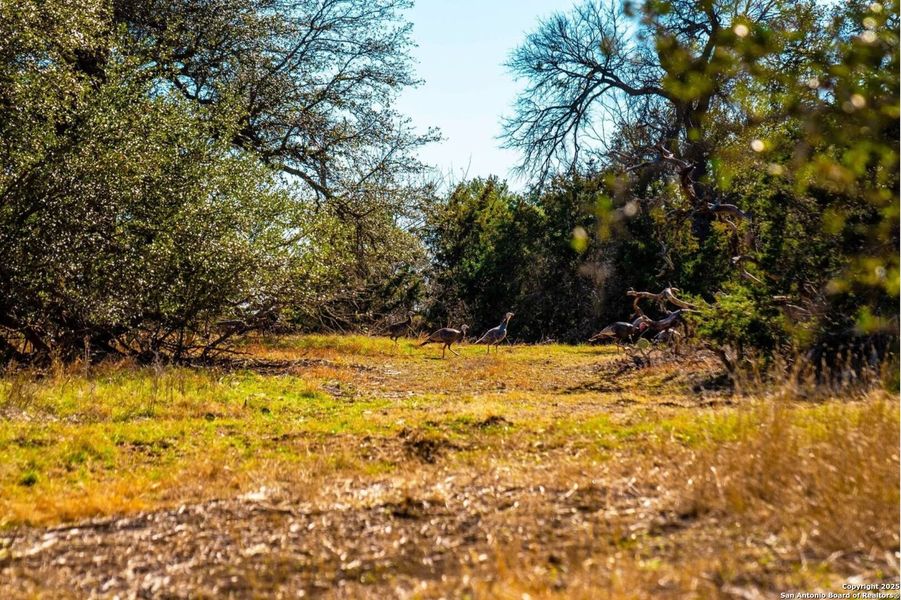 Image 9 of a home in . Image 9 of a home in .