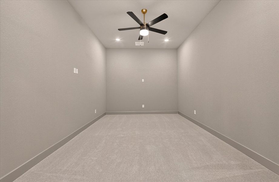 Entertainment Room