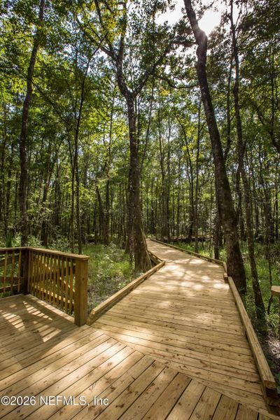Natural landscape and outdoor views near in St. Augustine (Image 60). Natural landscape and outdoor views near in St. Augustine (Image 60).