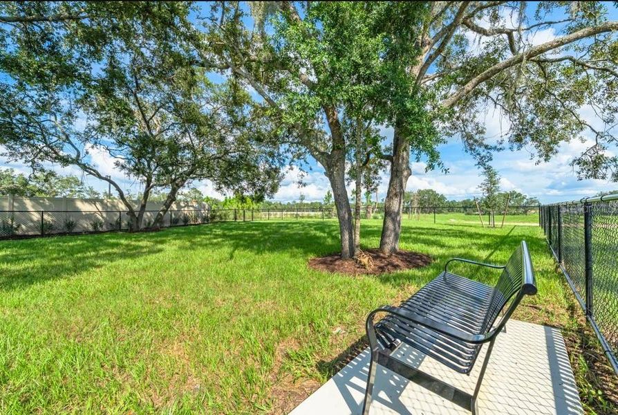 Natural landscape and outdoor views near Palm Wind in Hudson (Image 38).