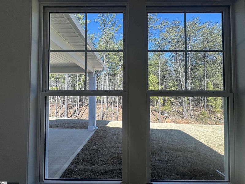 Exterior details and patio area of a home in Shiloh Trail, Wellford (Image 3).