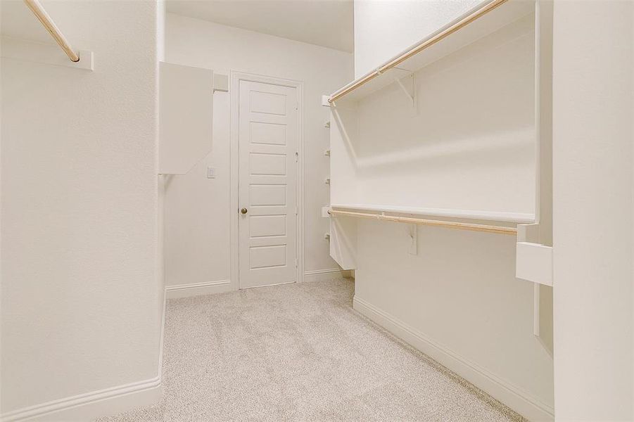 Spacious closet featuring light carpet