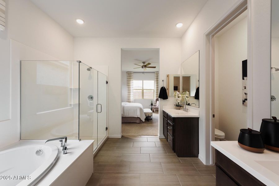 PHX_Pinnacle STH_Mercury Master Bathroom PHX_Pinnacle STH_Mercury Master Bathroom