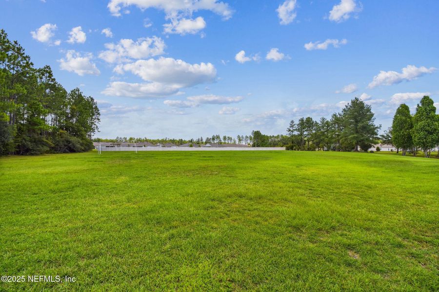 Natural landscape and outdoor views near Amelia Walk in Fernandina Beach (Image 45).