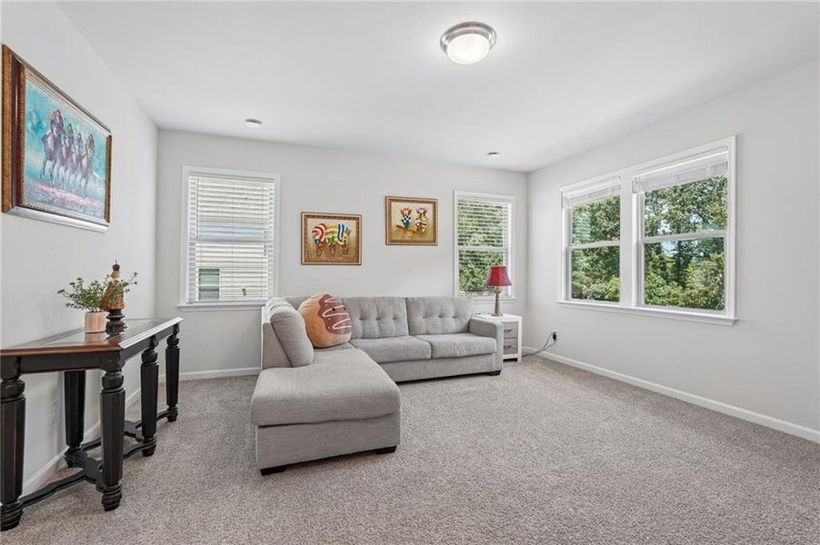 Furnished interior view inside a new home in Haley Station, Canton (Image 25).