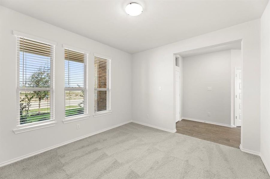 04. 203 Bandit - Flex 04. 203 Bandit - Flex