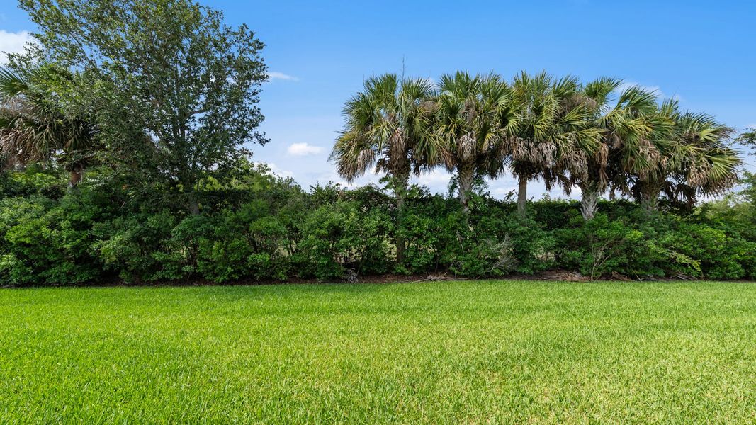 Natural landscape and outdoor views near Verandah Real Estate and Homes for Sale in Fort Myers, FL - Neal Communities in Fort Myers (Image 31).