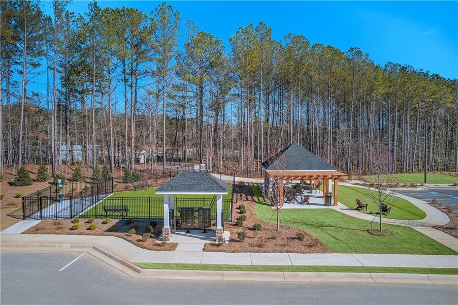 Community amenities in Adler Springs, Powder Springs (Image 13).