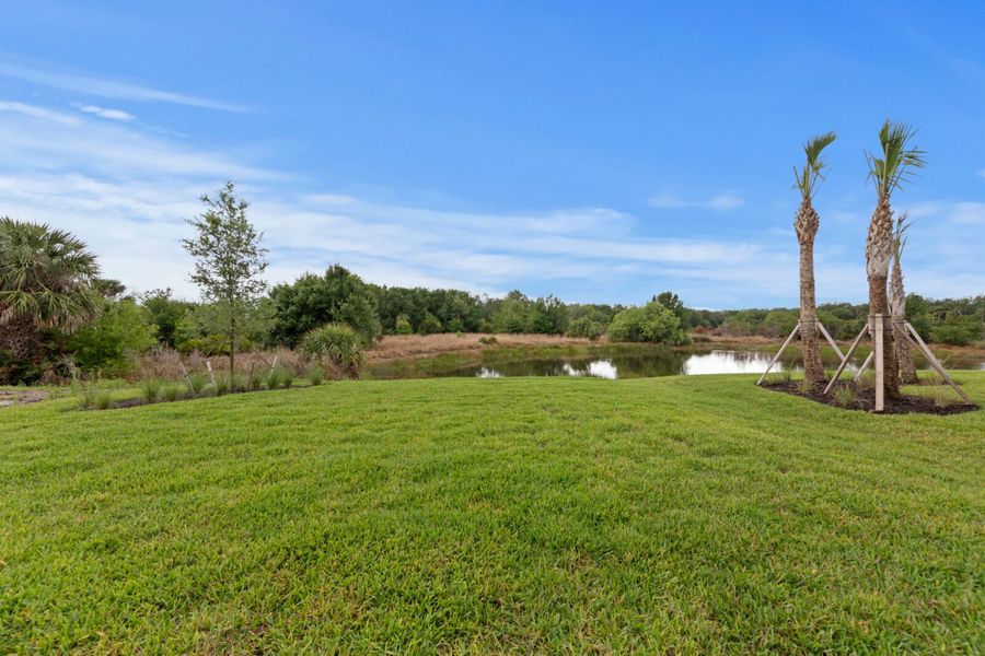 Natural landscape and outdoor views near Verandah in Fort Myers (Image 28).