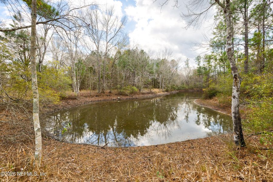 Natural landscape and outdoor views near in Jacksonville (Image 68). Natural landscape and outdoor views near in Jacksonville (Image 68).