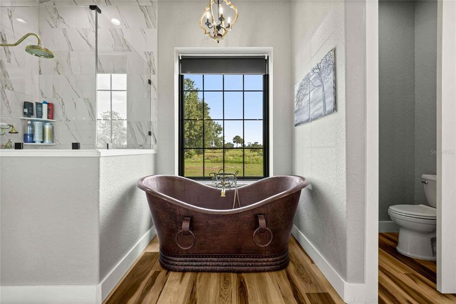 Furnished interior view inside a new home in , Belleview (Image 19).