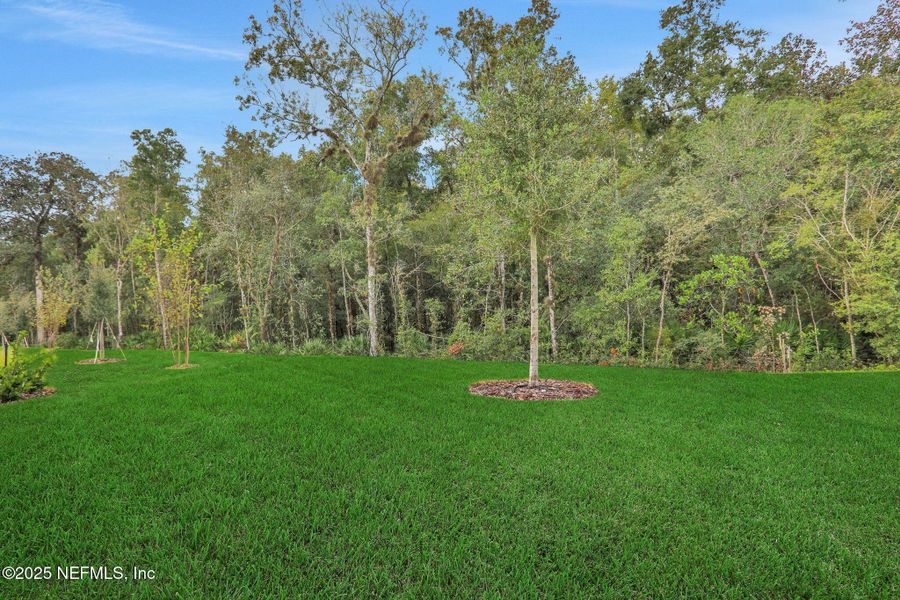 Natural landscape and outdoor views near TrailMark in St. Augustine (Image 42). Natural landscape and outdoor views near TrailMark in St. Augustine (Image 42).