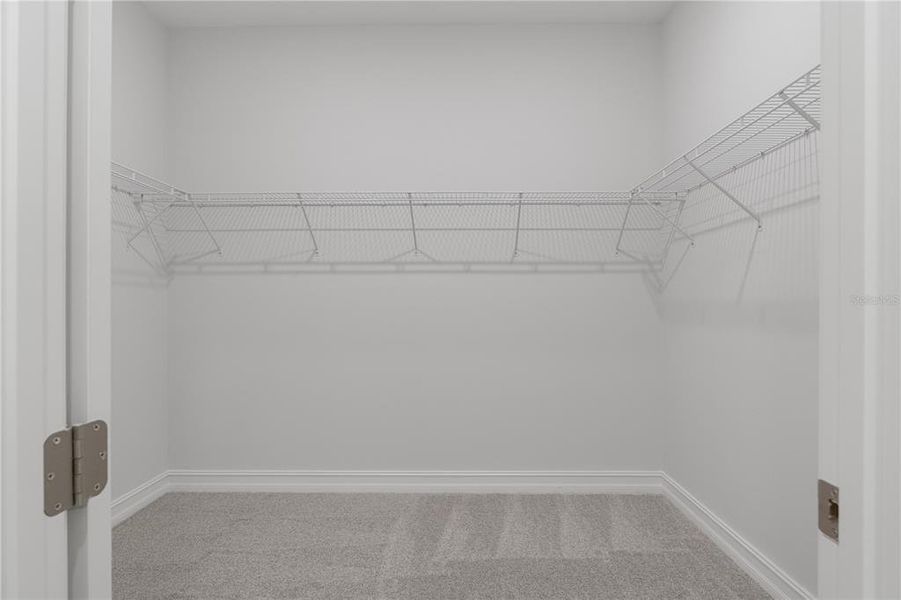 Spacious, unfurnished interior of a new home in Pine Ridge Estates, Beverly Hills (Image 23).