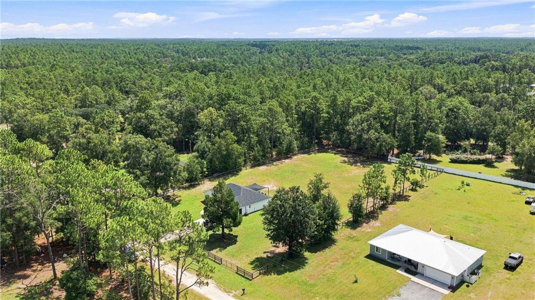 Natural landscape and outdoor views near in Ocala (Image 30). Natural landscape and outdoor views near in Ocala (Image 30).