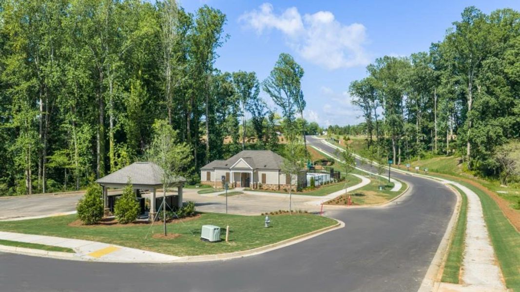 Community amenities in Grandview at Lanier, Dawsonville (Image 33).