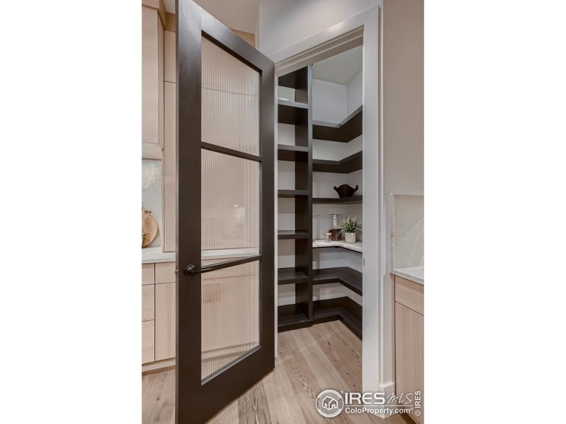 Quartzite counter in pantry