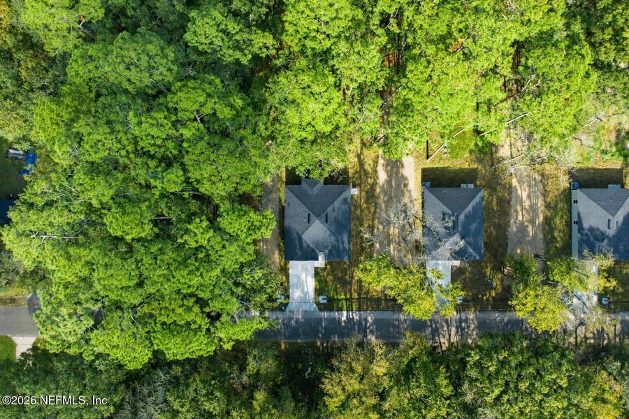 Natural landscape and outdoor views near  in Jacksonville (Image 28).