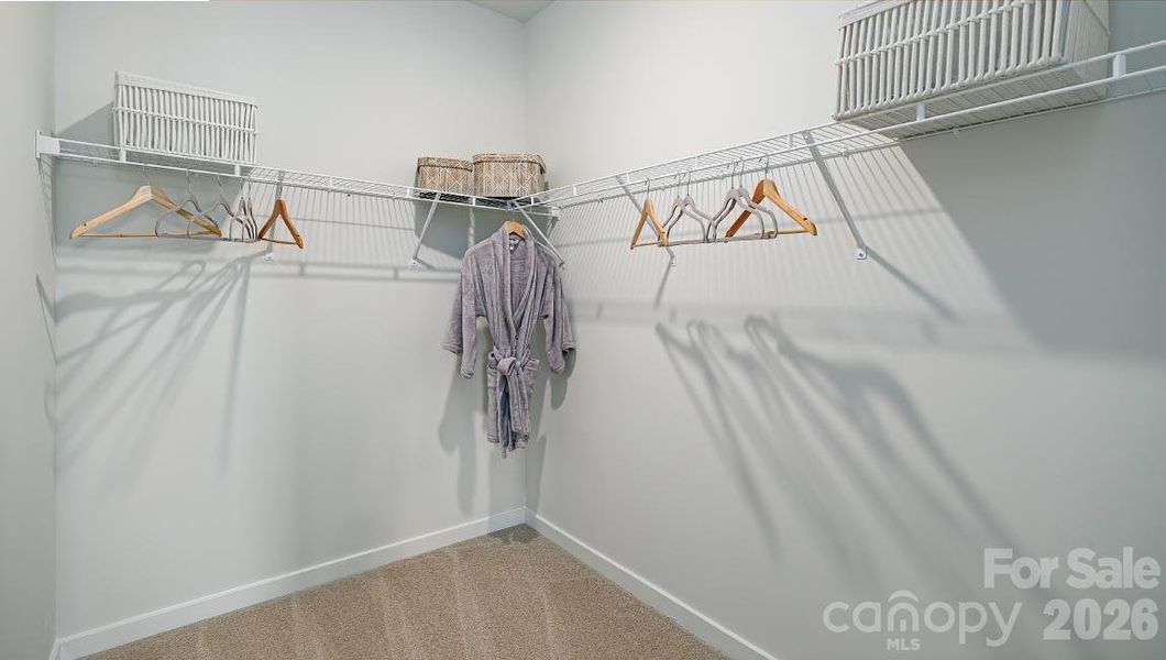 Representative Photo