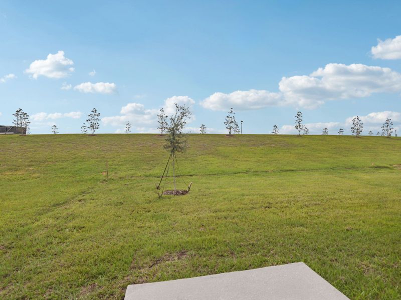 <p>Back Exterior</p>