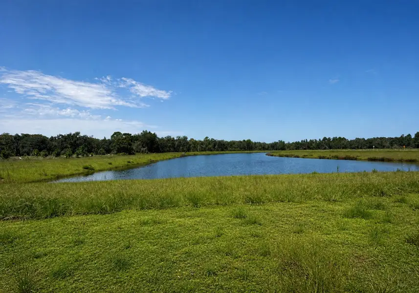 Natural landscape and outdoor views near Hontoon Reserve in Deland (Image 36).