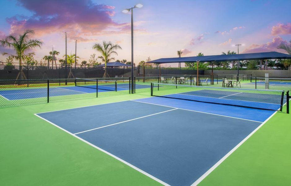 SPORTS COURTS