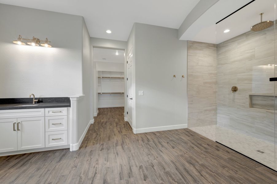 Owner's Bath