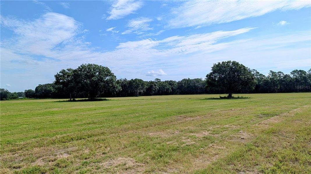 Natural landscape and outdoor views near  in Wauchula (Image 46).