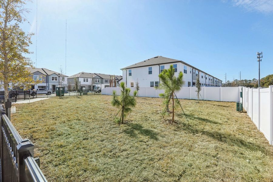 Take your furry friends for an outing at the dog park