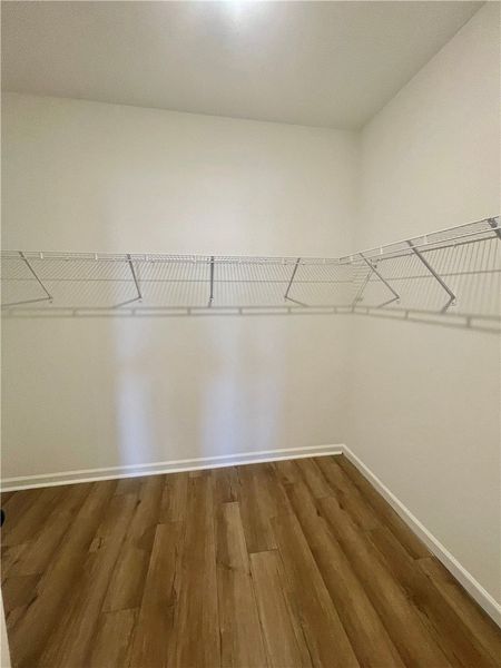 Spacious, unfurnished interior of a new home in Springwood Grove, Central (Image 17).