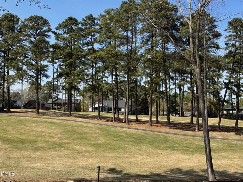 7117 North Ridge View March 25th