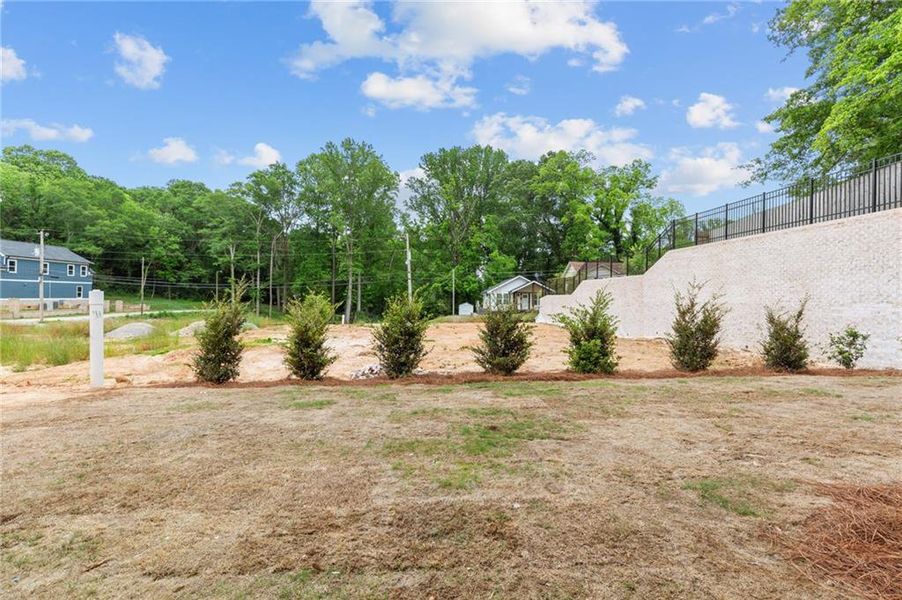 Natural landscape and outdoor views near  in Buford (Image 73).